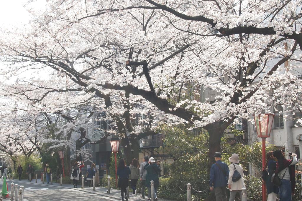 Bijuu Hotel Kyoto Bagian luar foto