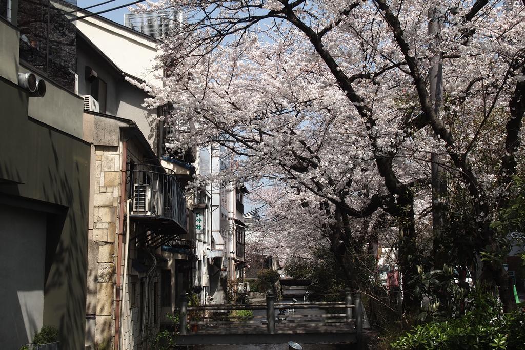 Bijuu Hotel Kyoto Bagian luar foto
