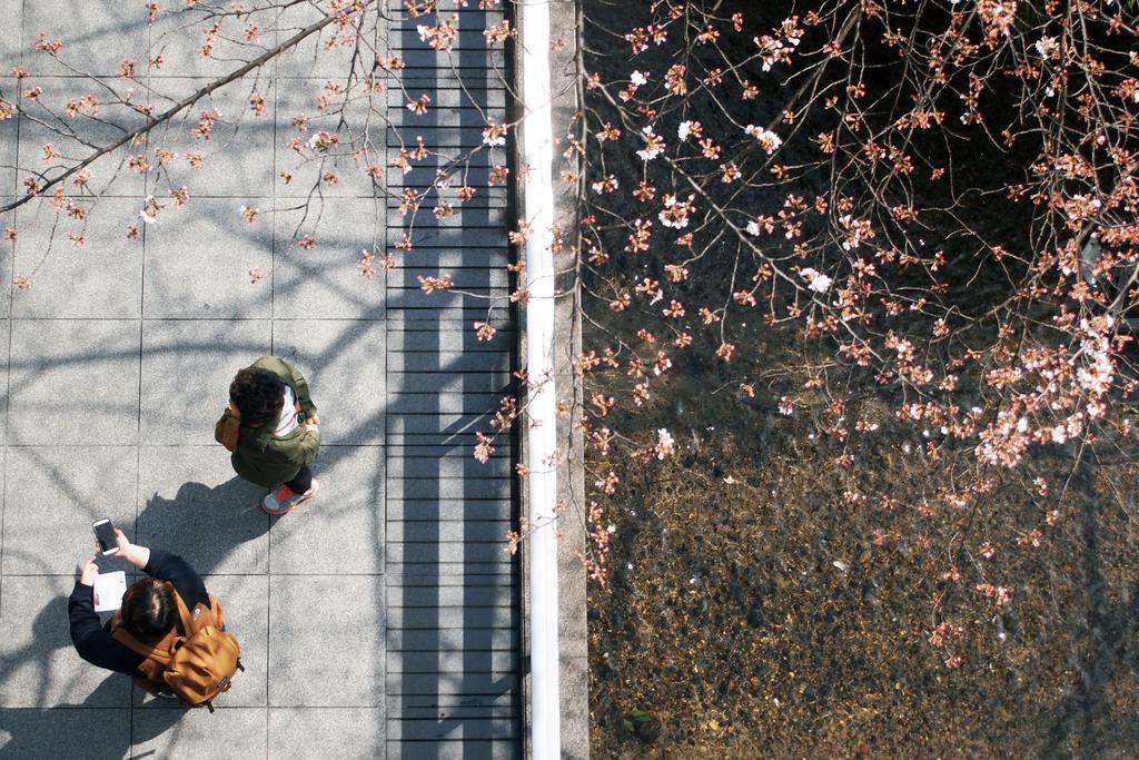 Bijuu Hotel Kyoto Bagian luar foto